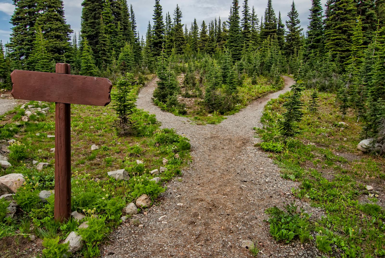 Scenic hiking trail through nature